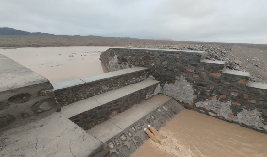 آگهی فراخوان عمومی تولید نهال مشارکتی در نهالستان بدره ای اسلام آباد غرب (نوبت اول )