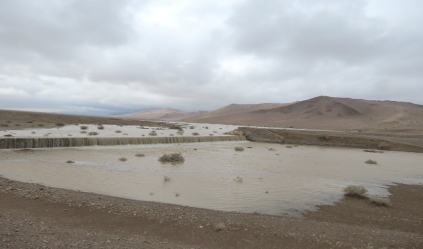 آگهی فراخوان عمومی تولید نهال مشارکتی در نهالستان انزل شهرستان سرپل ذهاب (نوبت اول )
