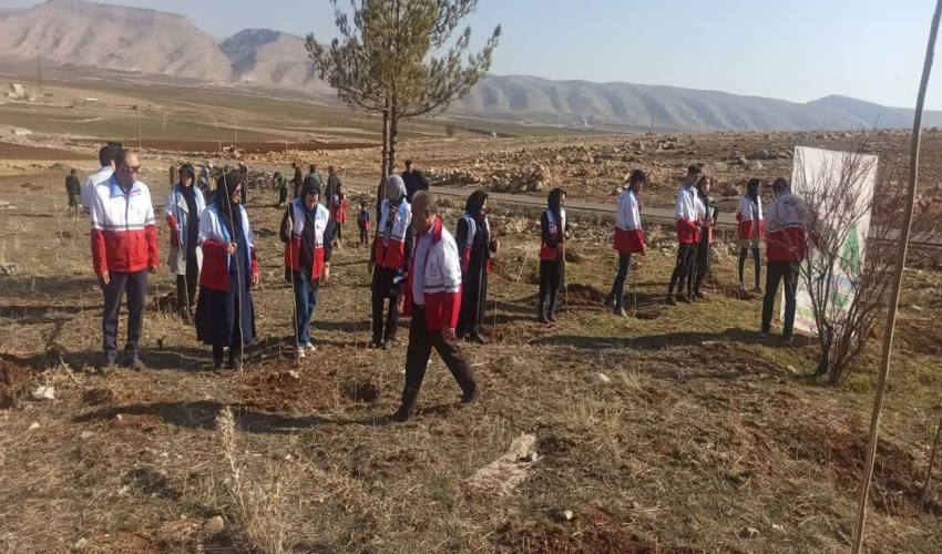 مدیرکل منابع طبیعی کرمانشاه در جشن درختکاری: