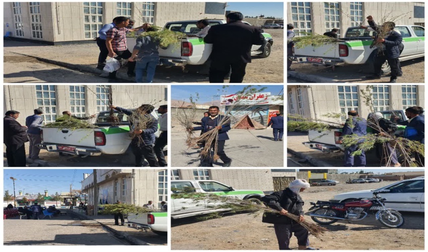 منابع طبیعی، حفاظت وقانون