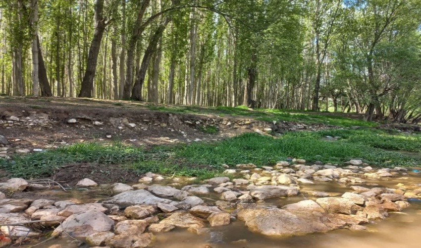 اجرای طرح مردمی کاشت یک میلیارد درخت مرهمی بر زخمهای عرصه های طبیعی شهرستان