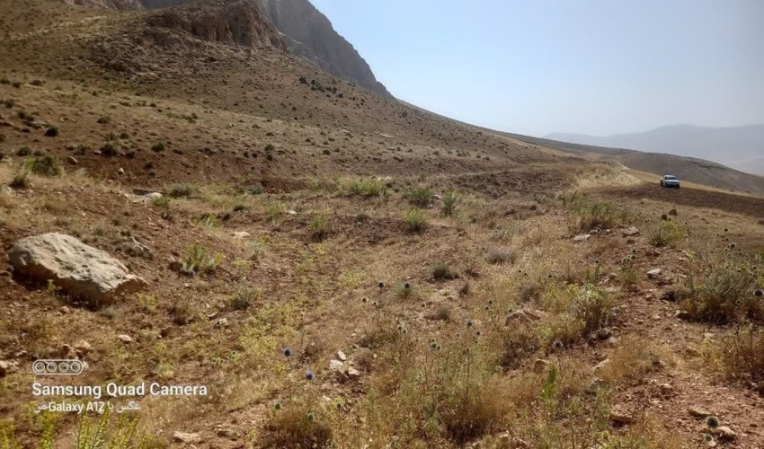  آغاز عملیات اجرایی پروژه آبخیزداری حوزه شمال شهر هرسین