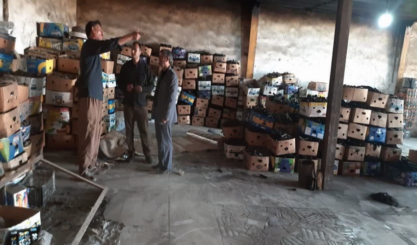 بازدیدمیدانی از کارگاه های تولید زغال چوب از درختان باغی همراه با ده گردشی در بخش فیروزآباد