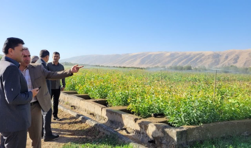 افتتاح پروژه تولید 350هزار اصله نهال در شهرستان سرپل ذهاب