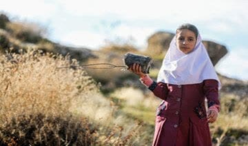 پویش بذر و نهال کاری  با گونه  بادام تلخ  در مراتع روستای چنگور جلیلوندشهرستان اسلام آباد غرب