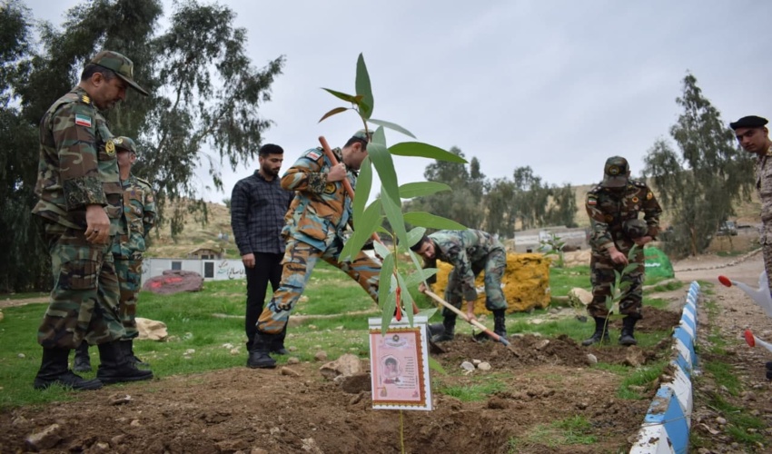 مرزداران وپویش درختکاری