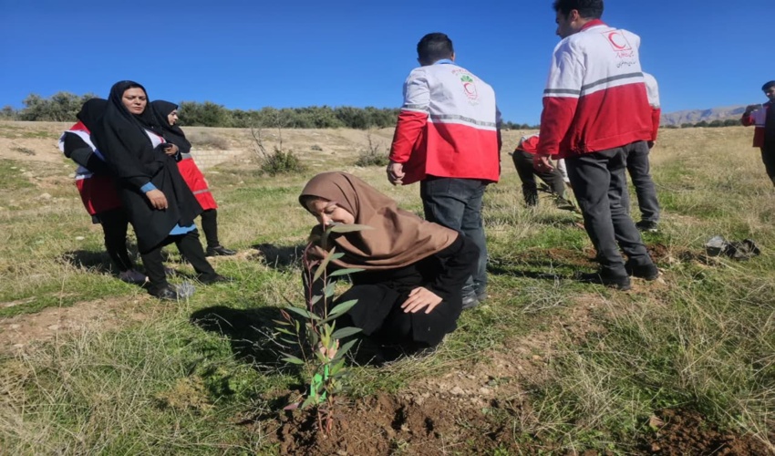 برگزاری پویش کاشت نهال