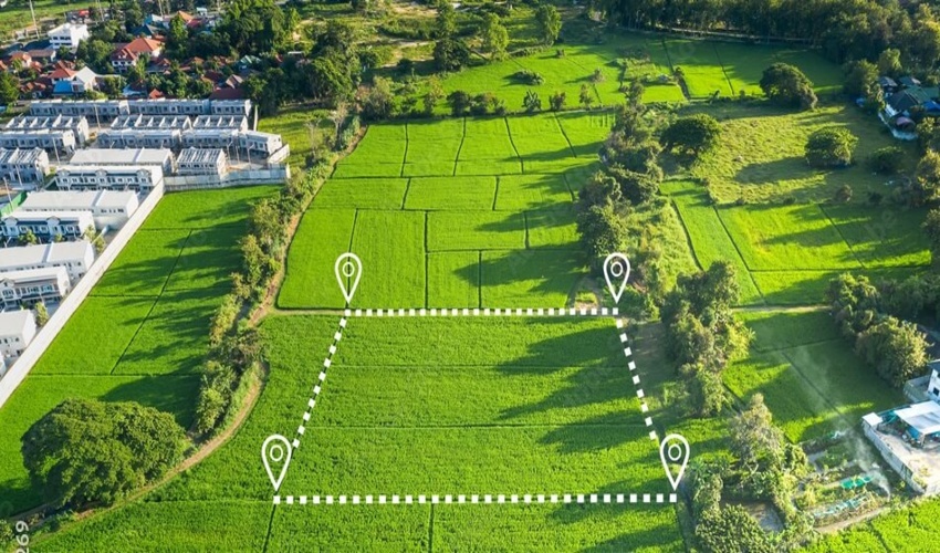 کاشت بیش از ۸ هزار نهال به یاد سردار دل‌ها در اسلام‌ آبادغرب