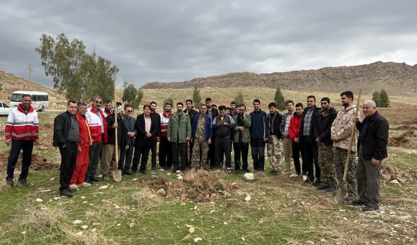 کاشت 300اصله درخت در شهرستان گیلانغرب