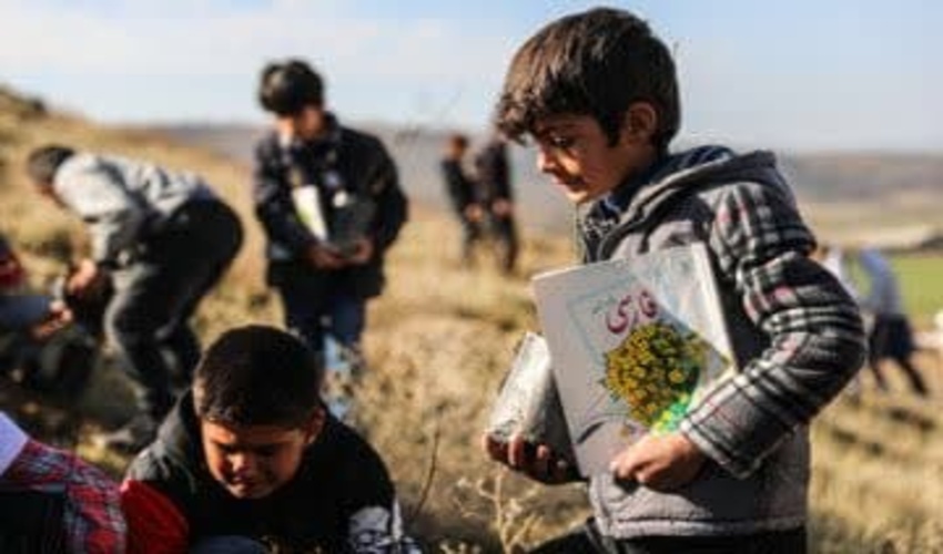 گام اساسی منابع طبیعی برای تحقق کاشت ۳۶ میلیون نهال در کرمانشاه