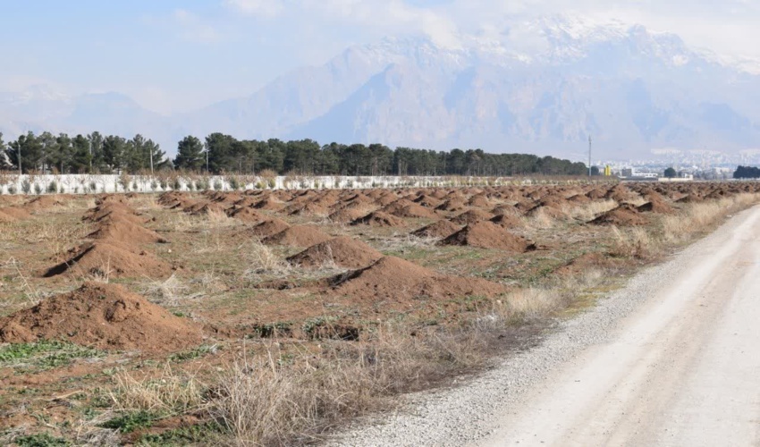 پردیس کشاورزی و منابع طبیعی دانشگاه رازی آماده همکاری همه جانبه با منابع طبیعی در راستای اجرای طرح ملی کاشت یک میلیارد درخت 