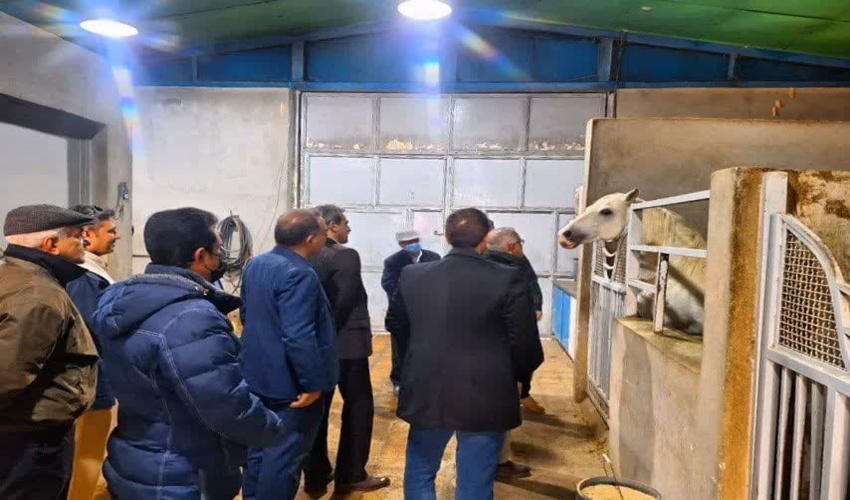 سفر رییس سازمان منابع طبیعی و آبخیزداری کشور به استان کرمانشاه