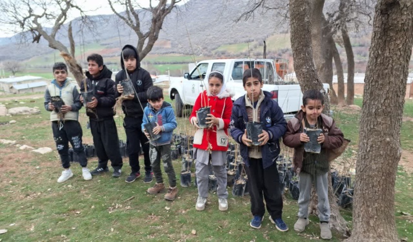  پویش کاشت نهال شهرستان دالاهو