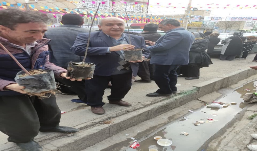 توزیع نهال رایگان در شهرستان اسلام آباد غرب به مناسبت نیمه شعبان