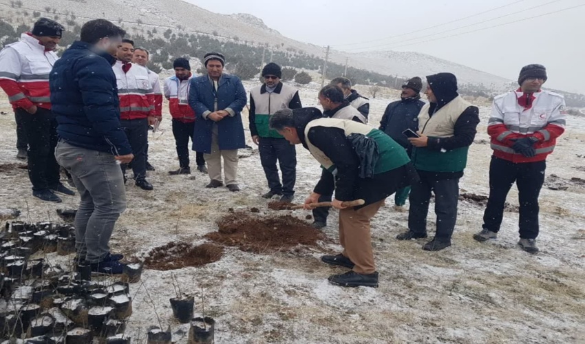 برگزاری پویش ملی نهالکاری در سنقر با حضور مقامات شهرستان