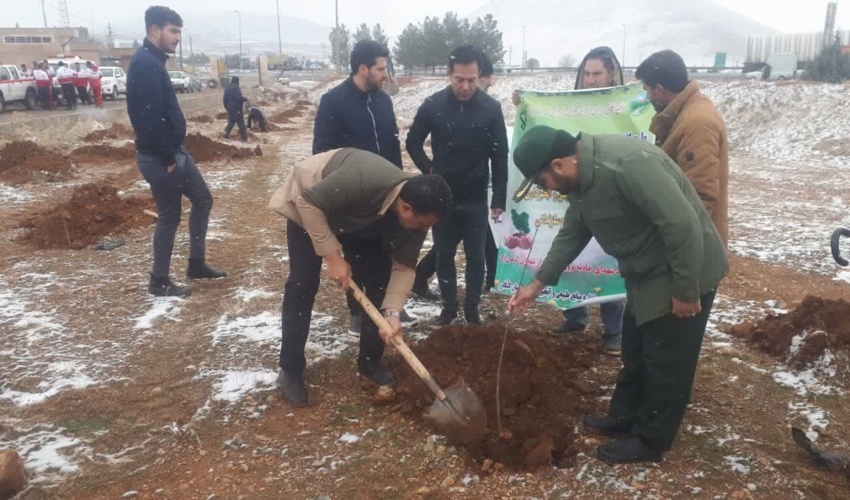 برگزاری پویش ملی کاشت درخت در شهرستان کنگاور