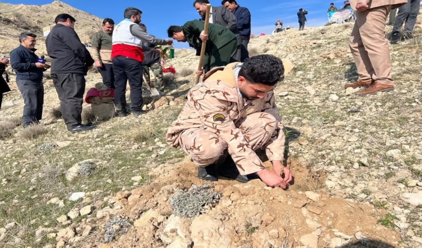 پویش ملی درختکاری در شهرستان گیلانغرب