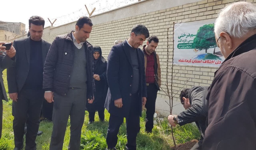 کاشت نهال توسط کارکنان شوراهای حل اختلاف کرمانشاه 