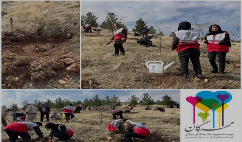 کاشت نهال توسط سازمان های مردم نهاد در چشمه سفید کرمانشاه