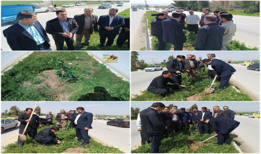 ۲۰۰ اصله نهال مثمر در سرپل ذهاب کاشته شد