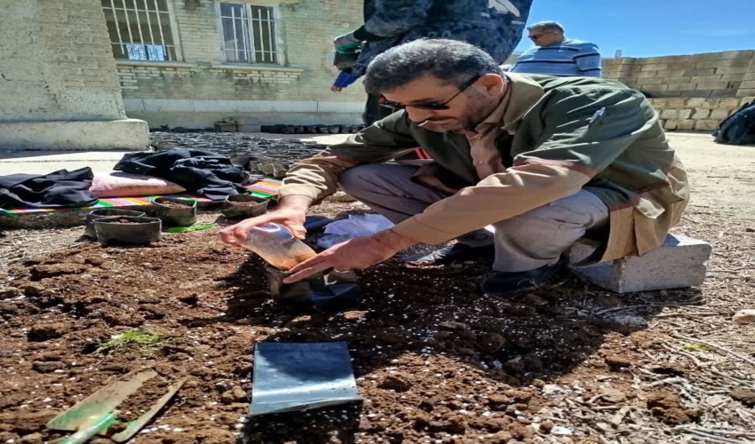  پویش تولید ۱۰۰۰۰هزار نهال در شهرستان دالاهو