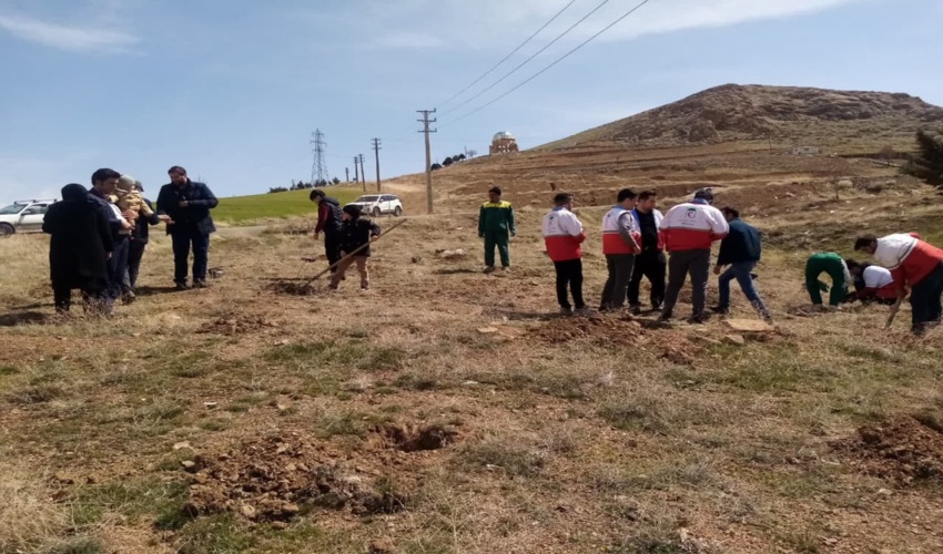 کاشت 100 اصله نهال در شهرستان سنقرو کلیایی