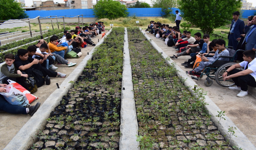 بازدید همیاران طبیعت دانش آموزی در نهالستان منابع طبیعی شهرستان کرمانشاه 
