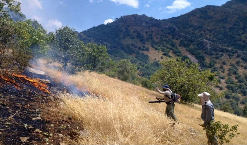 مدیر کل منابع‌طبیعی و آبخیزداری استان کرمانشاه اعلام کرد