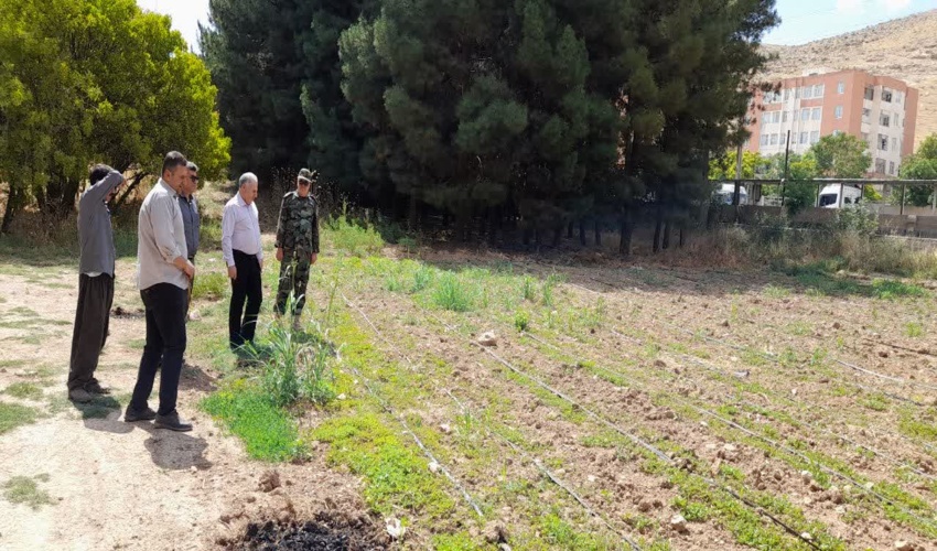 بازدید ناظر طرح مردمی کاشت یک میلیارد درخت از نهالستان شهرستان اسلام آباد غرب