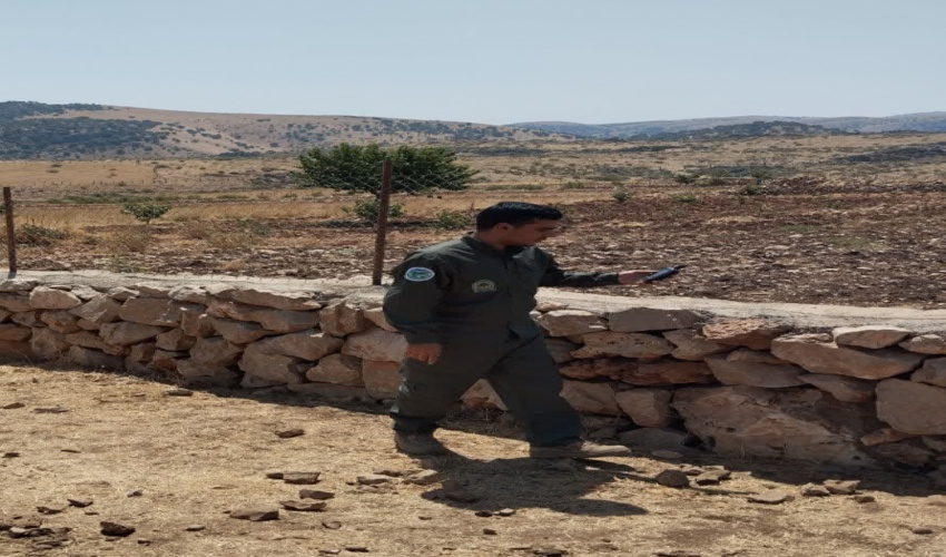 بررسی گزارشات واصله در شهرستان روانسر
