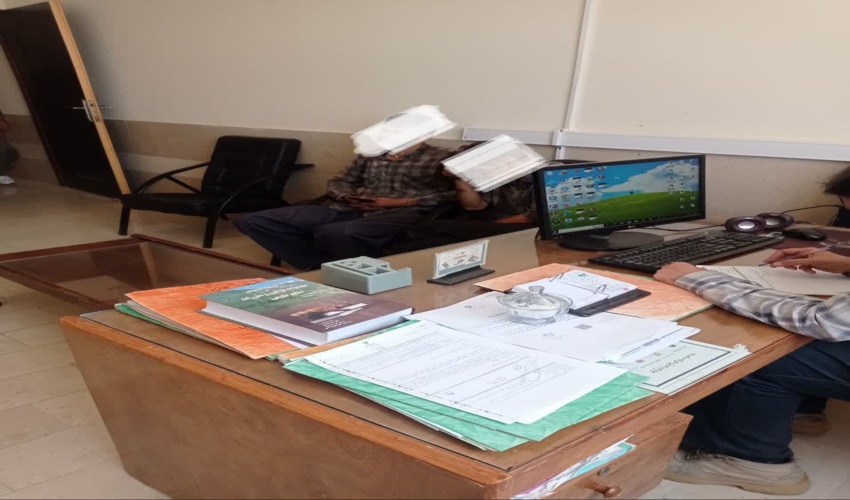 دستگیری عاملان قطع درختان کاج دست کاشت پارک جنگلی سیاه خور و پارک کاج شهرستان اسلام آباد غرب 