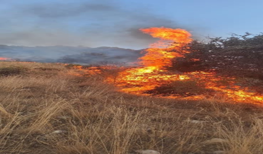 شناسایی و معرفی ۹ نفر از عاملین آتش‌سوزی جنگل‌ها و مراتع شهرستان اسلام آبادغرب به مراجع قضایی  