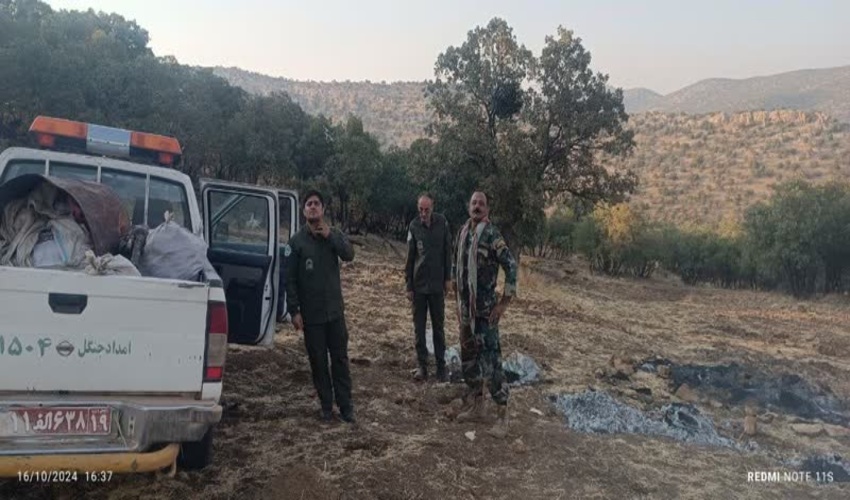 کشف دو بشکه زغال و مقطوعات جنگلی در شهرستان اسلام آباد غرب