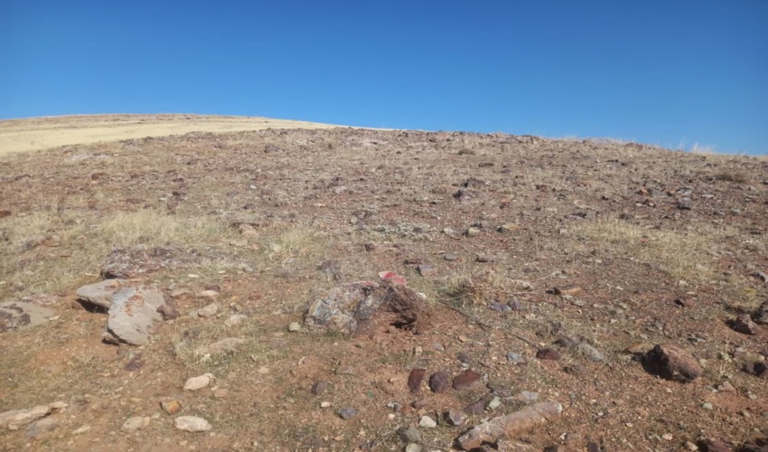 بذرکاری همگانی همراه با اصول فنی و ترویج پایداری جنگل زاگرس