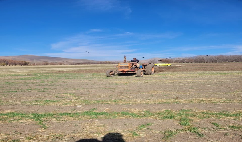 اجرای حکم قضایی خلع ید در اراضی منابع طبیعی شهرستان کنگاور