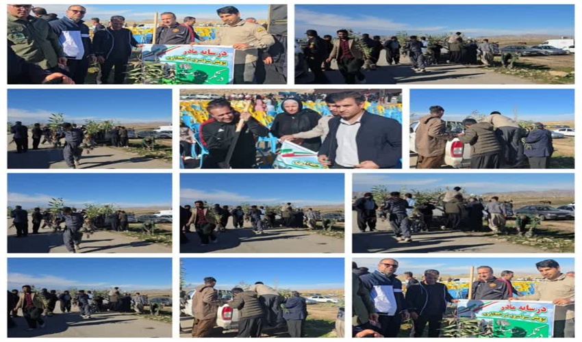 برگزاری پویش در سایه مادر در شهرستان سرپل زهاب