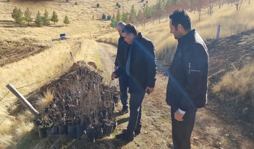 کاشت نهال به پاسداشت مهر بیکران و نام نیکوی مادر، در بیکرانه ترین مهد 