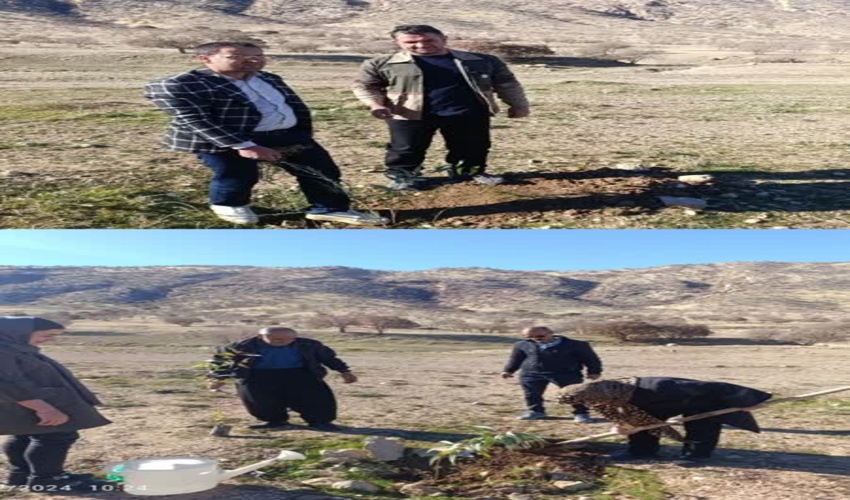 پویش درختکاری «در سایه مادر» در شهرستان گیلانغرب