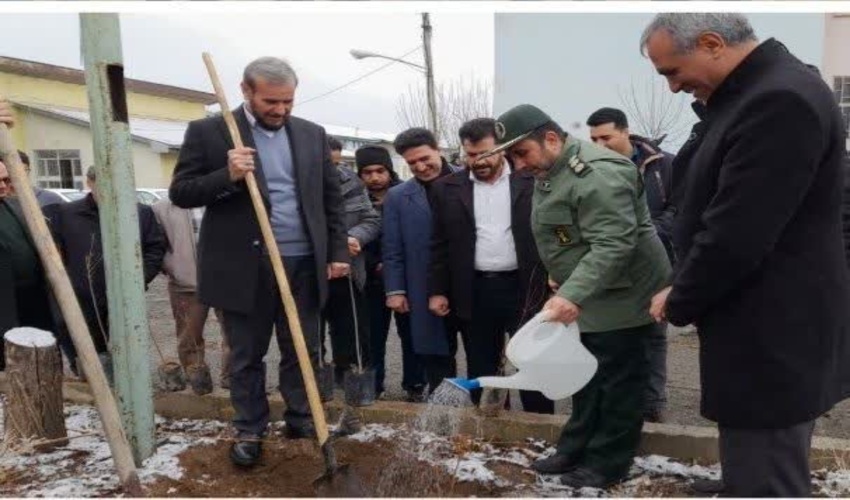 برگزاری پویش درختکاری به نام پدر به مناسبت ولادت امام علی(ع) و روز پدر در هنرستان کشاورزی شهید چمران 