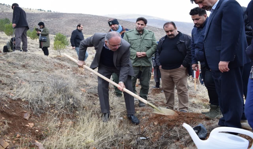 کاشت ۲۵۰۰ نهال در پویش سراسری درختکاری « به نام پدر» در استان کرمانشاه 