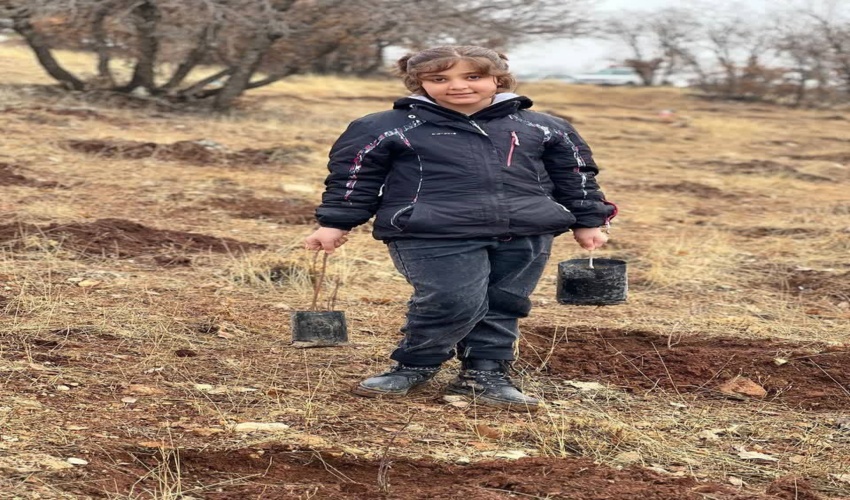 کاشت ۲۰۰ نهال بلوط، بادام، زبان گنجشگ در شهرستان اسلام آباد غرب