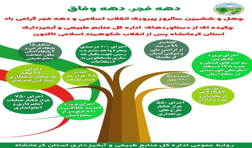 اینفوگرافیک عملکرد