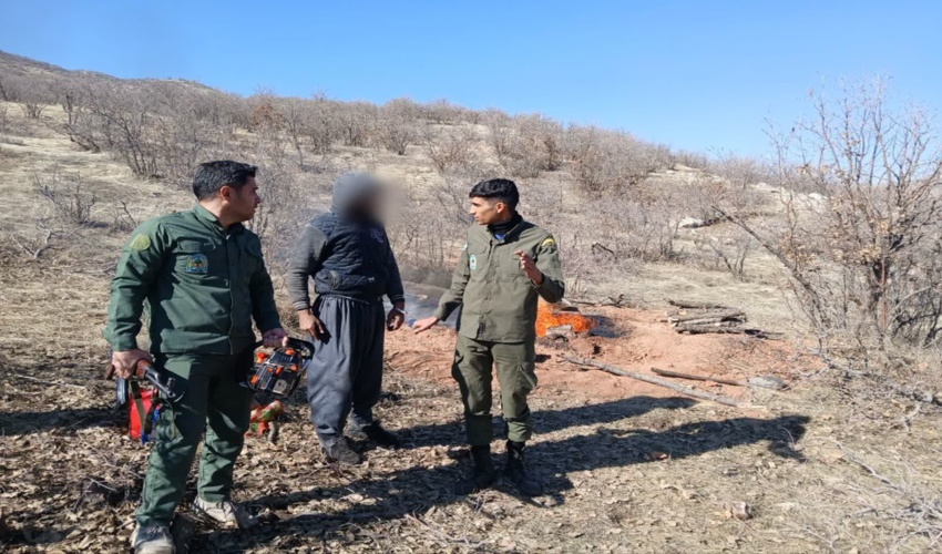دستگیری یکی از عوامل قطع درختان جنگلی بخش فیروزآباد شهرستان کرمانشاه