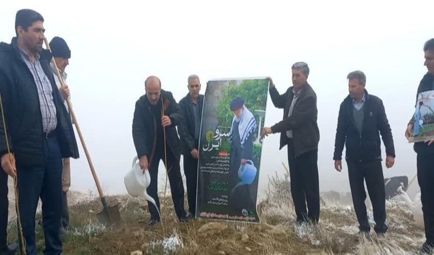 پویش ملی «سرو ایران» در کرمانشاه برگزار شد