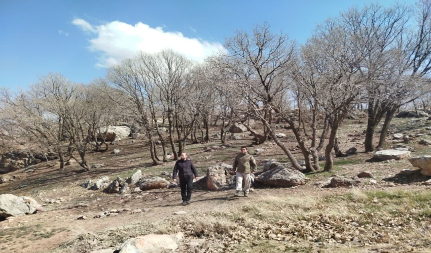 جنگلبانان هرسین در خط مقدم مقابله با تهدیدات حوزه منابع طبیعی