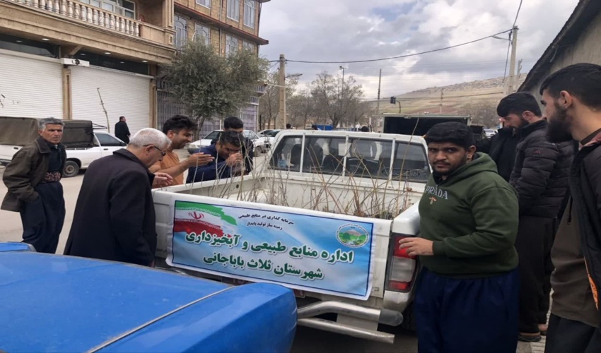 توزیع نهال رایگان به مناسبت روز جهانی قدس