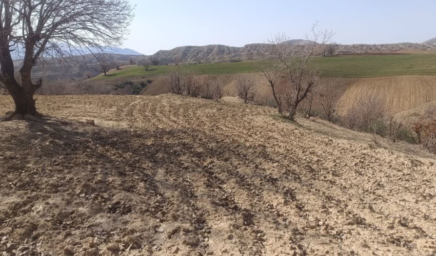 گشت زنی در  مناطق آلوده به کشت گیاهان ممنوعه در سنوات قبل