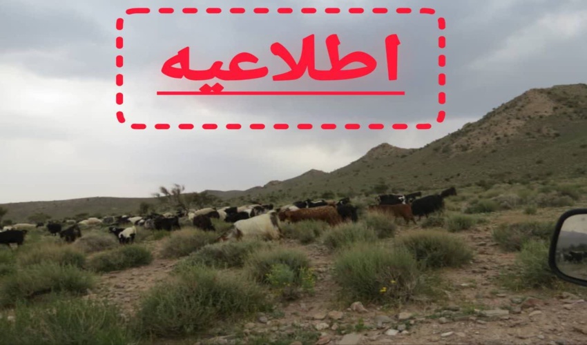 اطلاعیه اداره منابع طبیعی و آبخیزداری شهرستان دالاهو پیرامون ممنوعیت چرای زودرس بهاری در مراتع سطح شهرستان