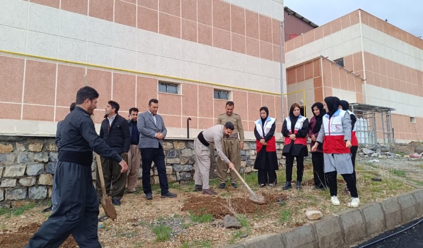 پویش  نهالکاری “ سرو ایران” به یاد رهبر شهید انقلاب و شهدای جنگ رمضان در محوطه بیمارستان شهدای سلامت ثلاث باباجانی