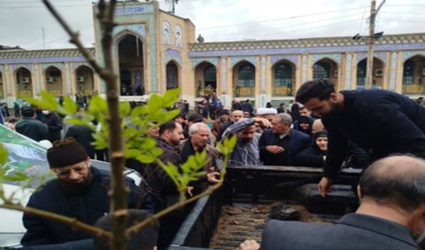 توزیع ۱۲ هزار نهال در کرمانشاه همزمان با نماز جمعه